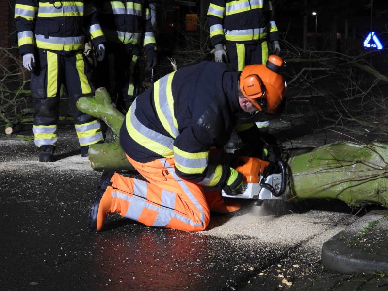 Omgewaaide boom valt op kabels met verlichting