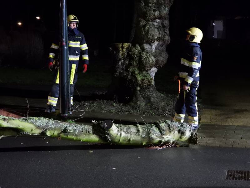 Omgewaaide boom valt op kabels met verlichting