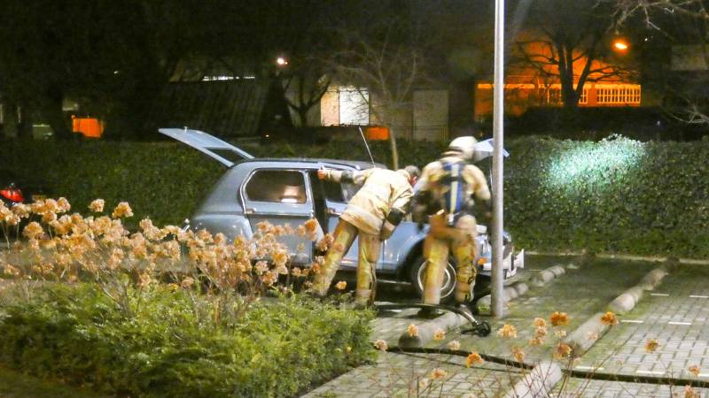 Lelijke eend staat te roken op parkeerplaats