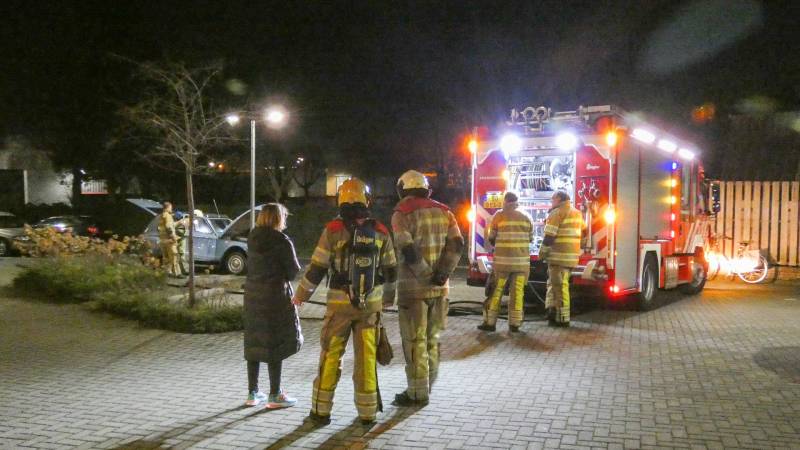 Lelijke eend staat te roken op parkeerplaats