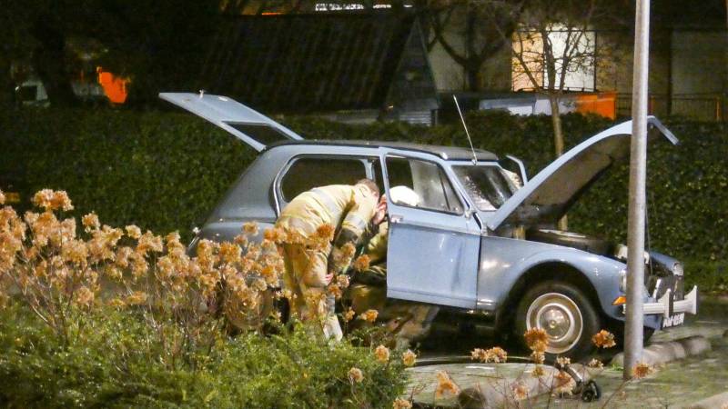 Lelijke eend staat te roken op parkeerplaats