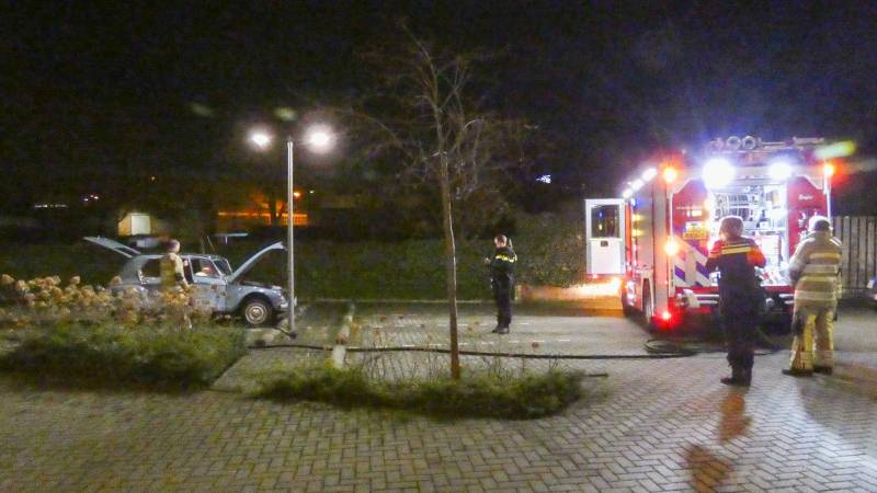 Lelijke eend staat te roken op parkeerplaats