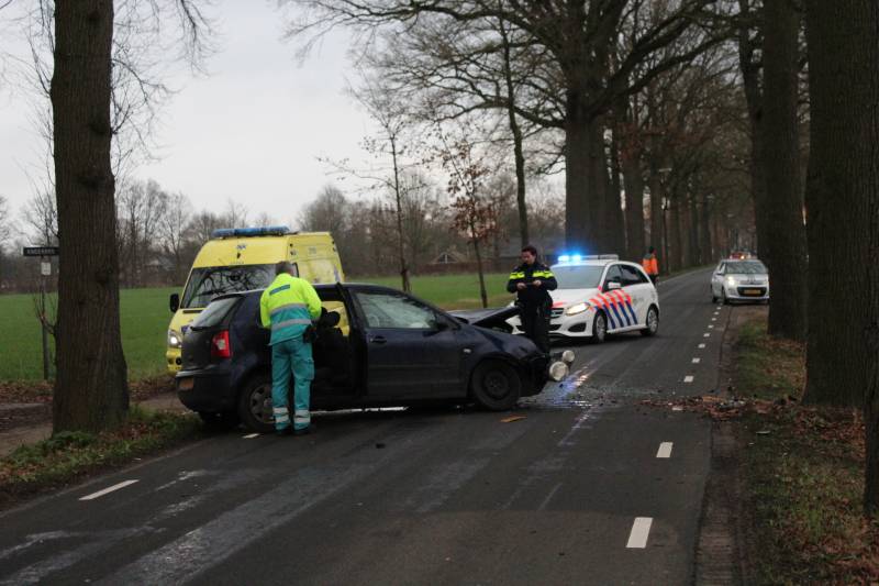 Flinke schade na eenzijdige botsing tegen boom
