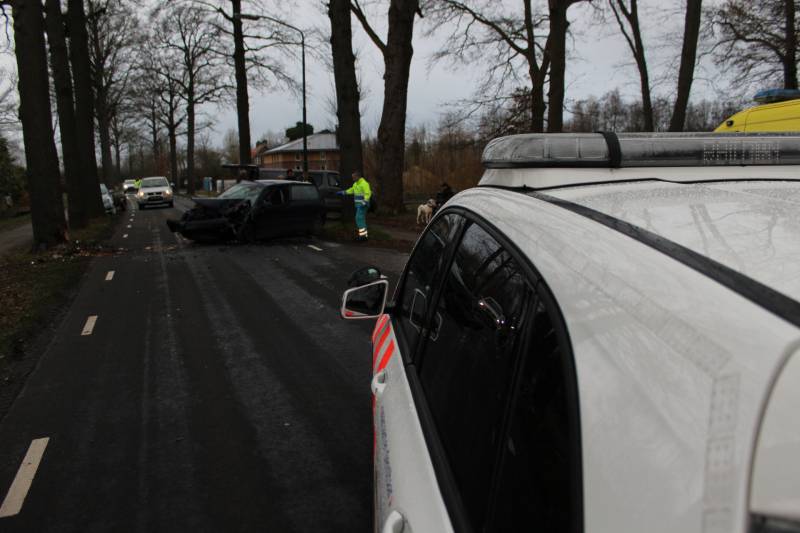 Flinke schade na eenzijdige botsing tegen boom