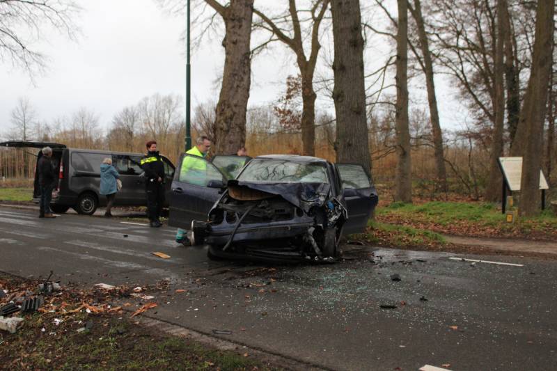 Flinke schade na eenzijdige botsing tegen boom