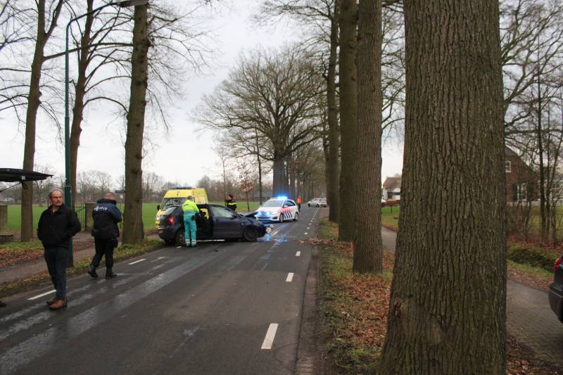 Flinke schade na eenzijdige botsing tegen boom