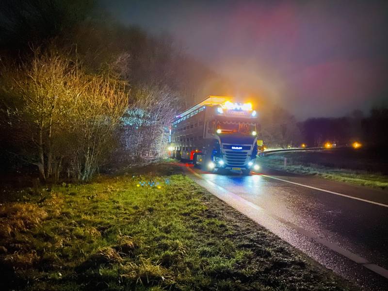 Vrachtwagen met varkens belandt naast de weg