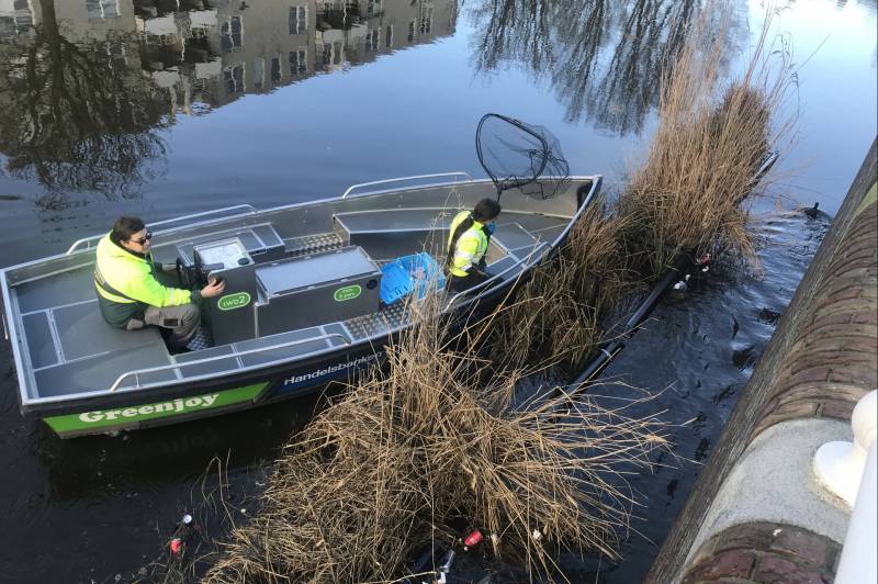 Meerkoet komt vast te zitten in stuk plastic