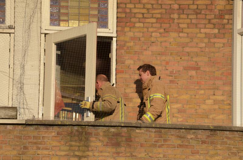 Duif door brandweer uit een net gehaald