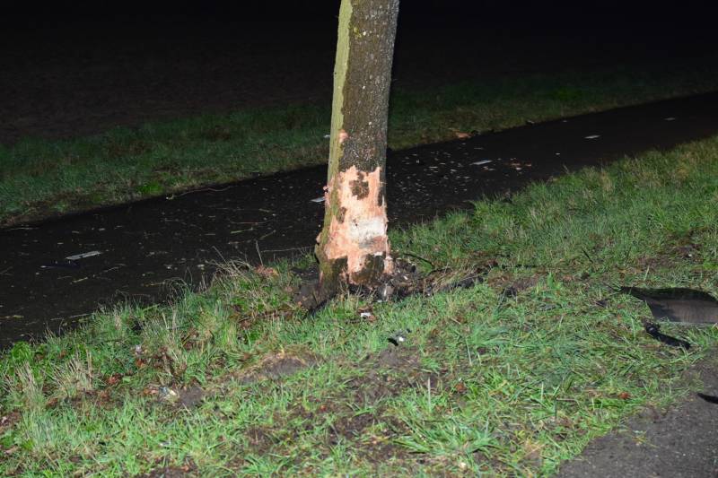 Auto total loss na eenzijdige botsing op boom