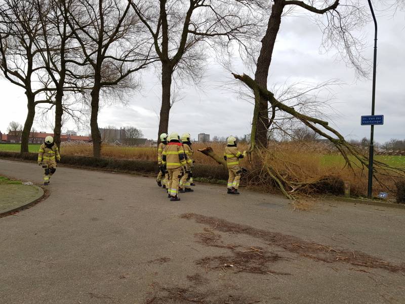 Grote takken vallen op wegdek door storm