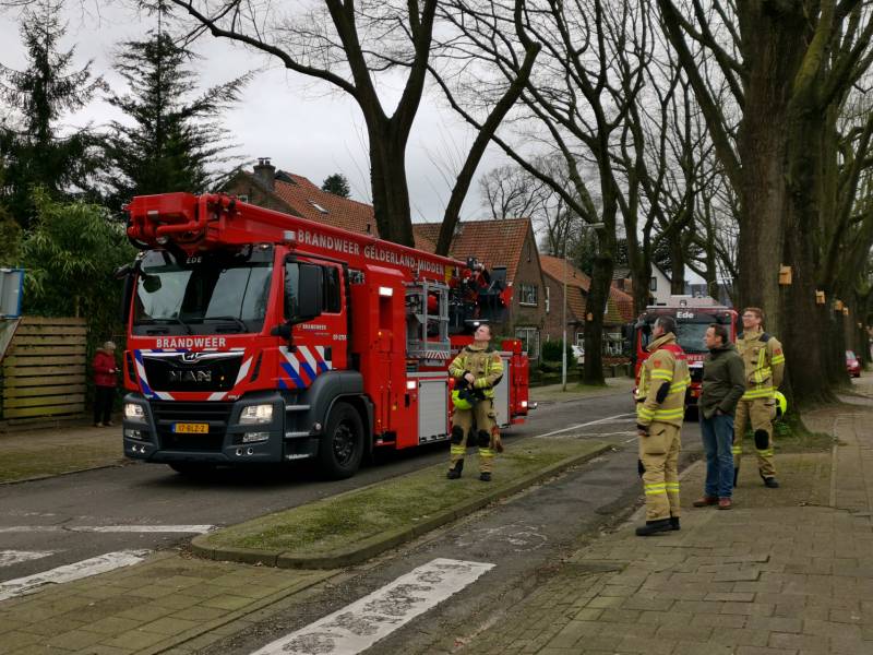 Gevaarlijke hangende takken verwijderd