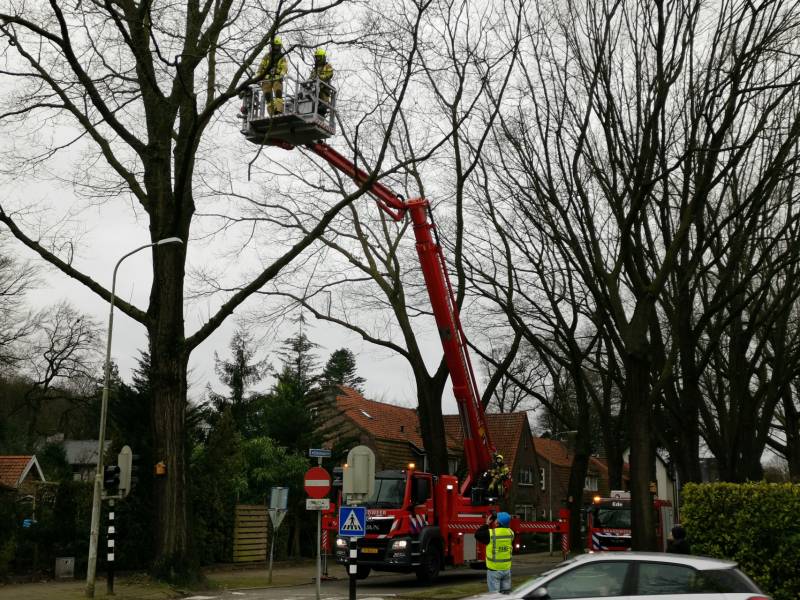 Gevaarlijke hangende takken verwijderd