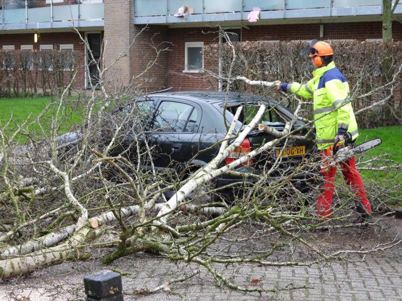 Boom valt op auto, veel schade