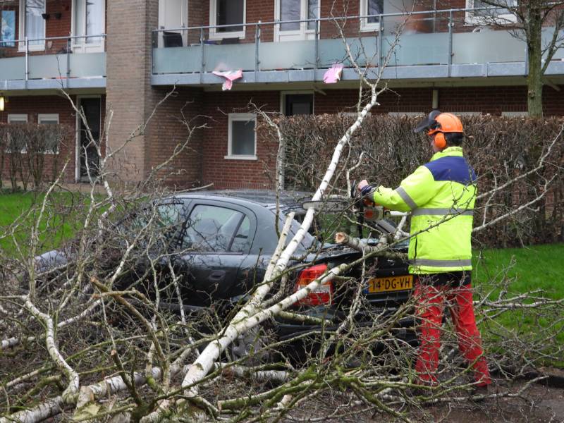 Boom valt op auto, veel schade