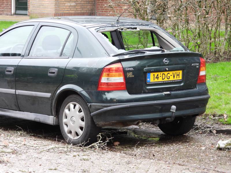 Boom valt op auto, veel schade