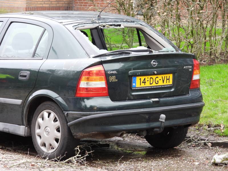 Boom valt op auto, veel schade