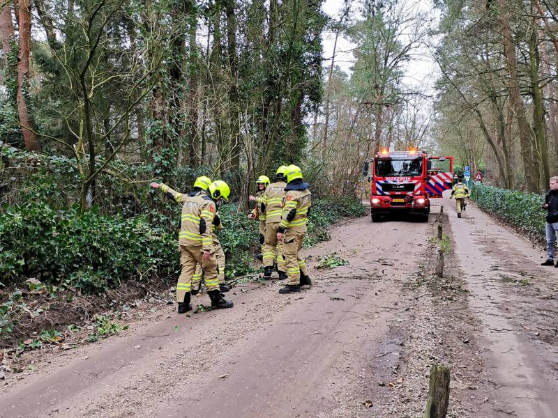 Gevaarlijk hangende takken vallen op rijbaan