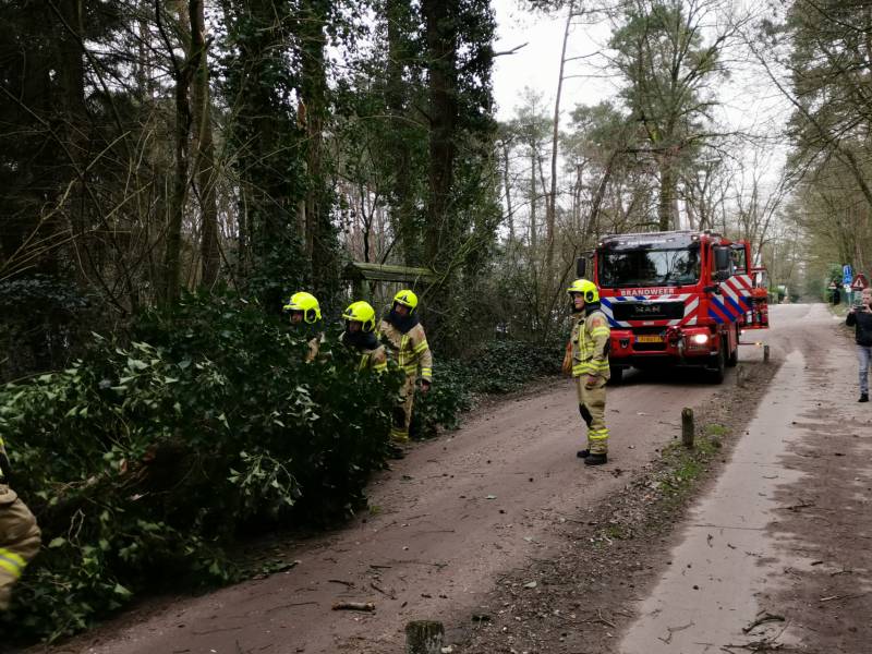 Gevaarlijk hangende takken vallen op rijbaan