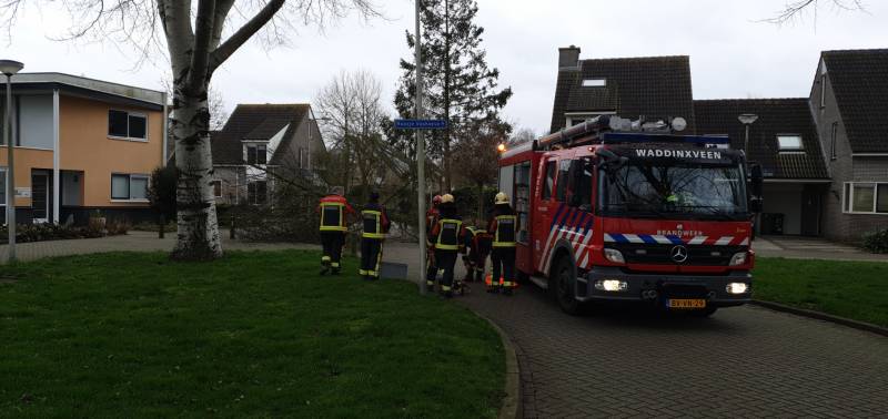 Boom val om midden op straat