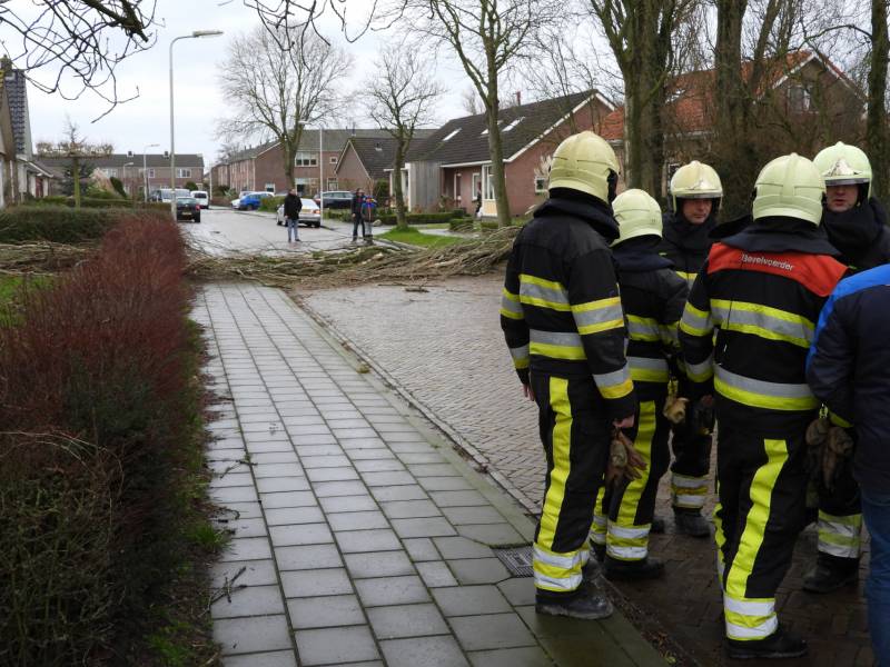 Boom breekt af en valt op woning