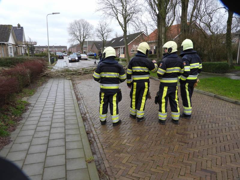 Boom breekt af en valt op woning