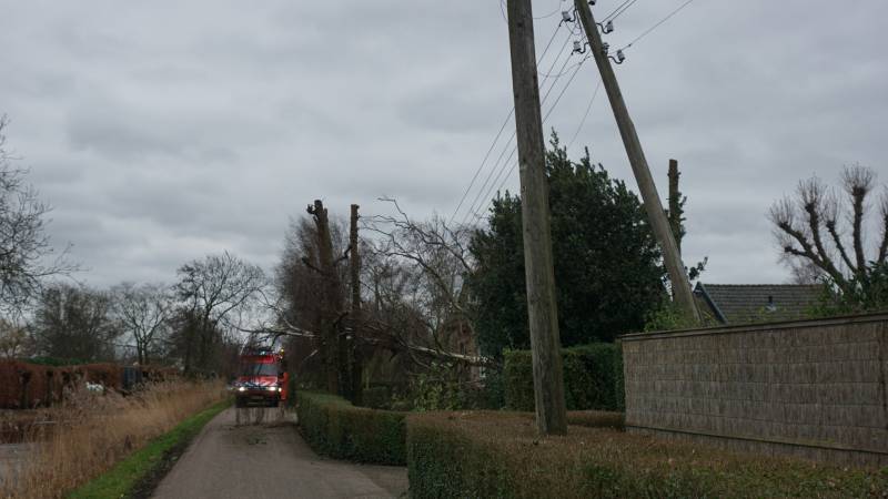 Kabels in mast beschadigd door omgevallen boom