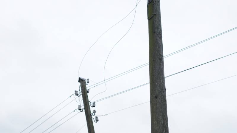 Kabels in mast beschadigd door omgevallen boom