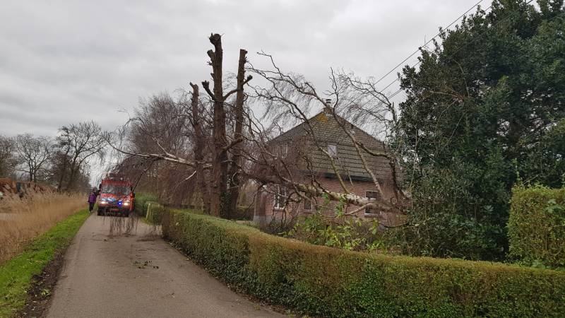 Kabels in mast beschadigd door omgevallen boom