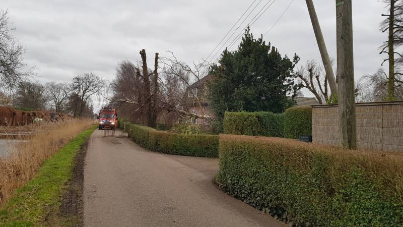 Kabels in mast beschadigd door omgevallen boom