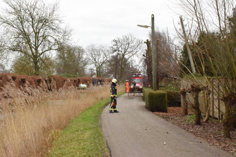 Kabels in mast beschadigd door omgevallen boom