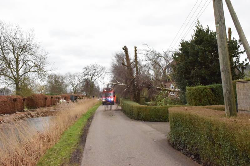 Kabels in mast beschadigd door omgevallen boom