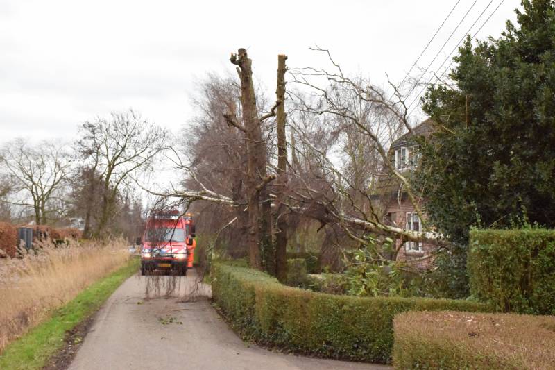 Kabels in mast beschadigd door omgevallen boom