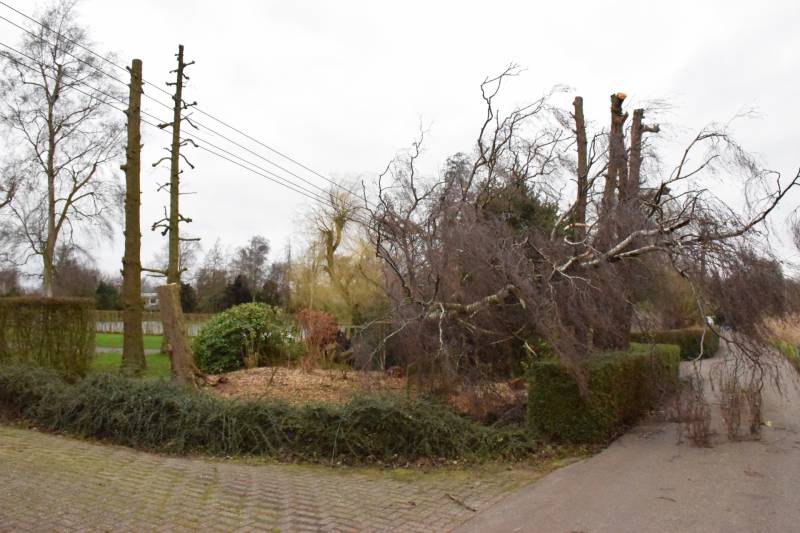 Kabels in mast beschadigd door omgevallen boom