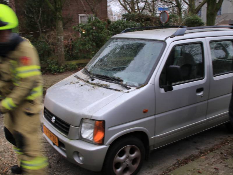 Boom valt op auto