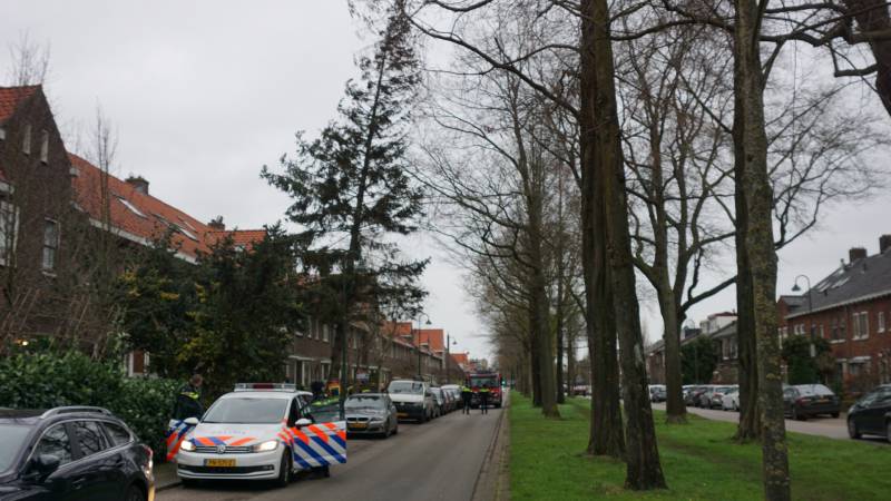 Boom dreigt om tevallen, bewoners halen auto's weg