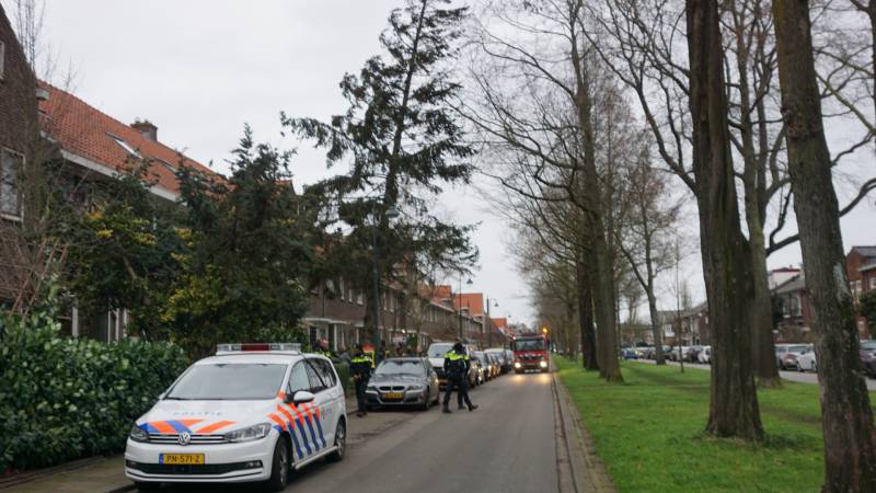 Boom dreigt om tevallen, bewoners halen auto's weg