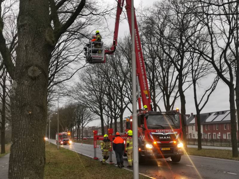 Boom top staat op vallen