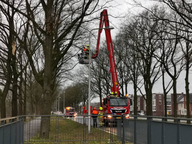 Boom top staat op vallen