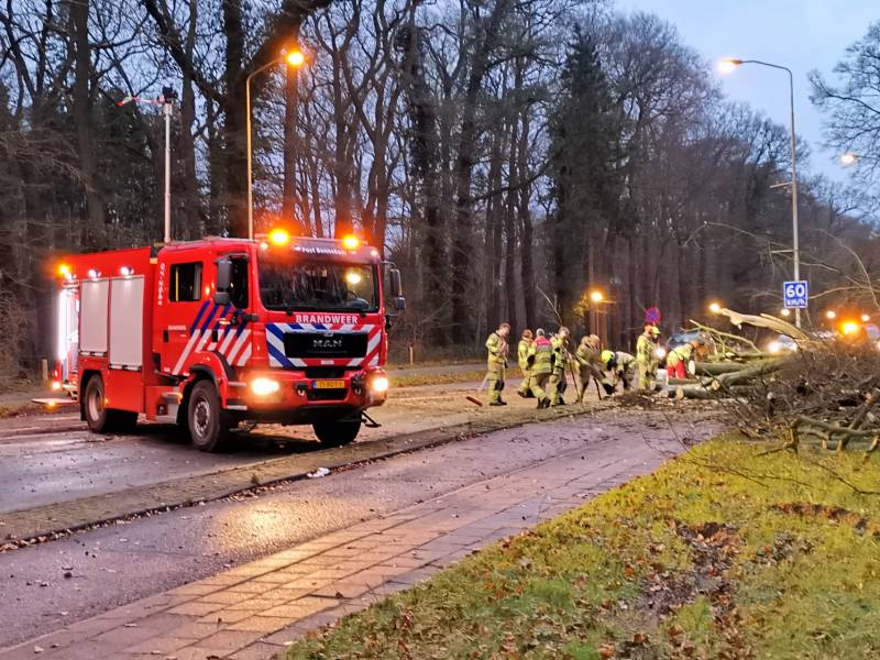 Grote boom valt om en versperd weg