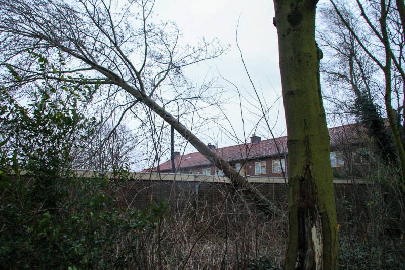 Boom valt tegen schuur