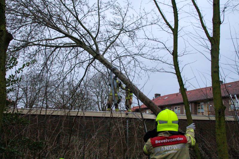 Boom valt tegen schuur