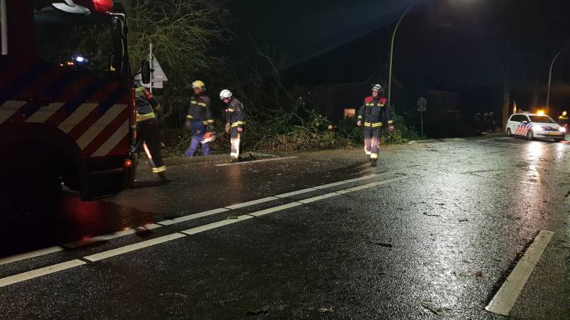 boom valt omver en blokkeert fietspad