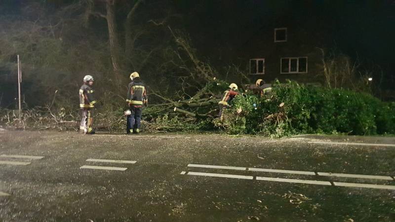 boom valt omver en blokkeert fietspad