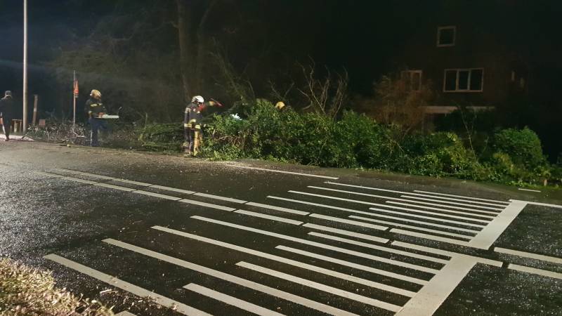 boom valt omver en blokkeert fietspad