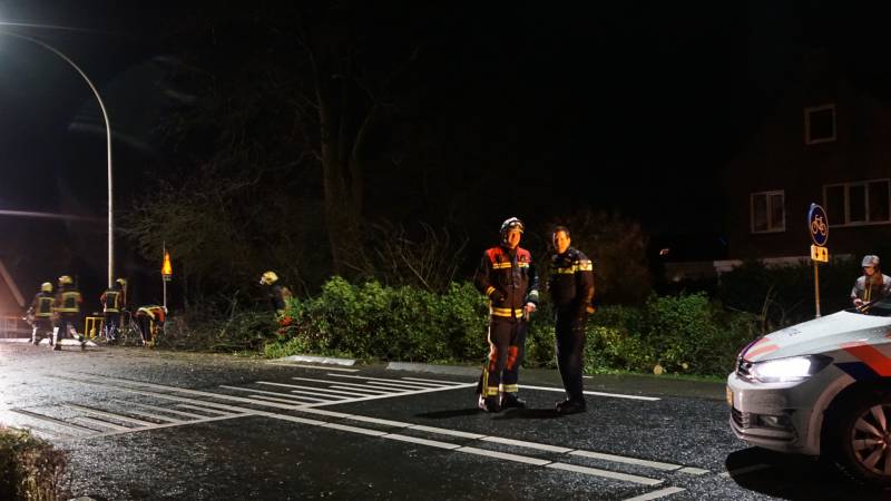 boom valt omver en blokkeert fietspad