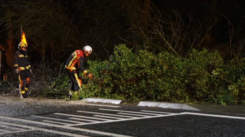 boom valt omver en blokkeert fietspad