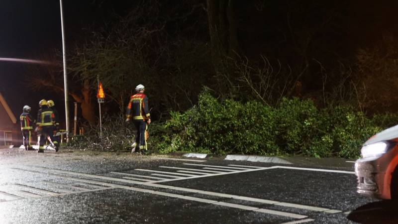 boom valt omver en blokkeert fietspad