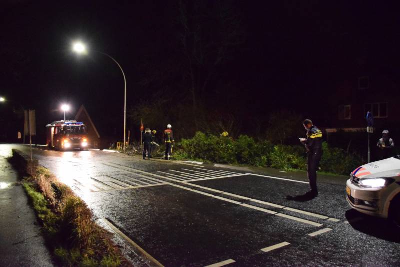 boom valt omver en blokkeert fietspad