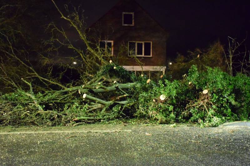 boom valt omver en blokkeert fietspad